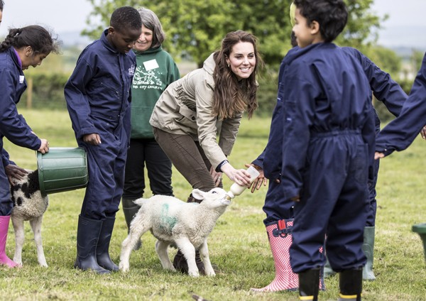 Kate Middleton amamenta ovelha em fazenda no oeste da Inglaterra (Foto: Getty Images)