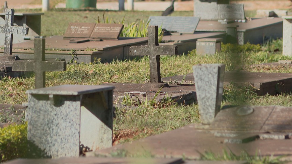 Túmulos em cemitério no DF, em imagem de arquivo — Foto: TV Globo/Reprodução