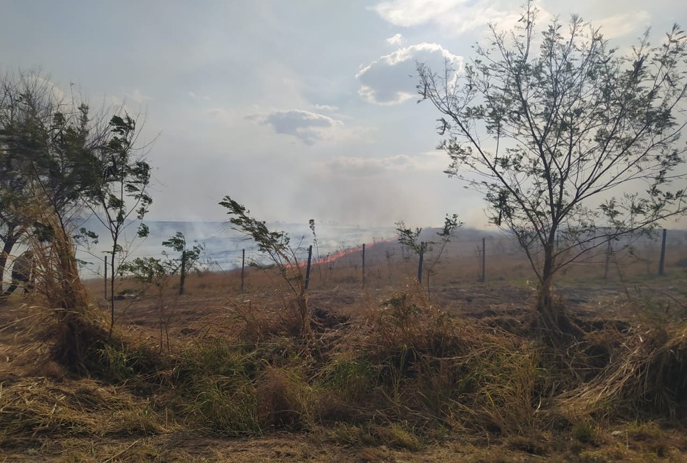 Trabalhador do DER morreu vítima de incêndio em vegetação às margens da Rodovia Júlio Budiski (SP-501), em em Irapuru (SP), na tarde desta quarta-feira (25) — Foto: Polícia Militar Rodoviária