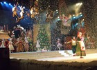 FOTOS: Fantástica Fábrica de Natal conta com acrobatas e 'neve' de espuma (Felipe Truda/G1)