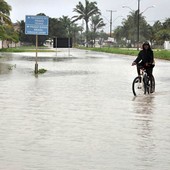 Temporal deixa distritos ilhados no Sul da Bahia (Temporal deixa distritos ilhados no Sul (Morador de rua acha aluno desaparecido (Diógenes Marques/ Primeiro Jornal)))