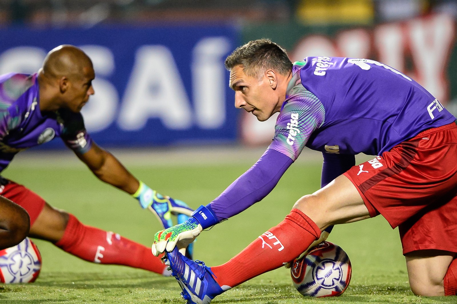  Palmeiras tem quatro jogadores com contrato só até dezembro, dois goleiros fazem parte da lista