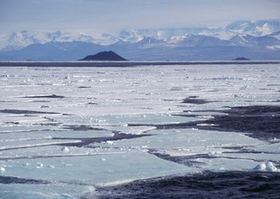 Antártica: geleiras ameaçadas pelo aquecimento global  (Foto: Getty Images)