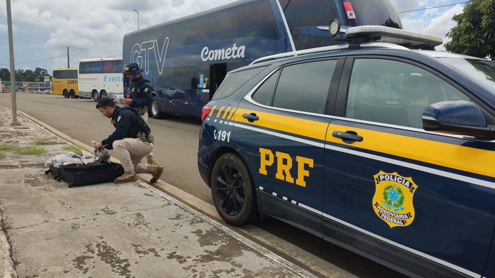 Jovem de 19 anos é preso com 3 kg de 'super maconha' escondidos dentro de mala em ônibus na Fernão Dias — Foto: PRF