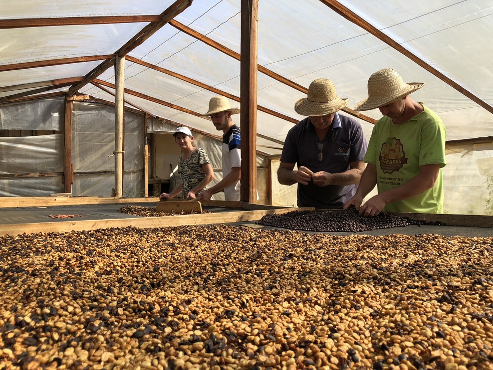 Estufa para secar o café na propriedade da família Wruck — Foto: Juliana Borges/G1