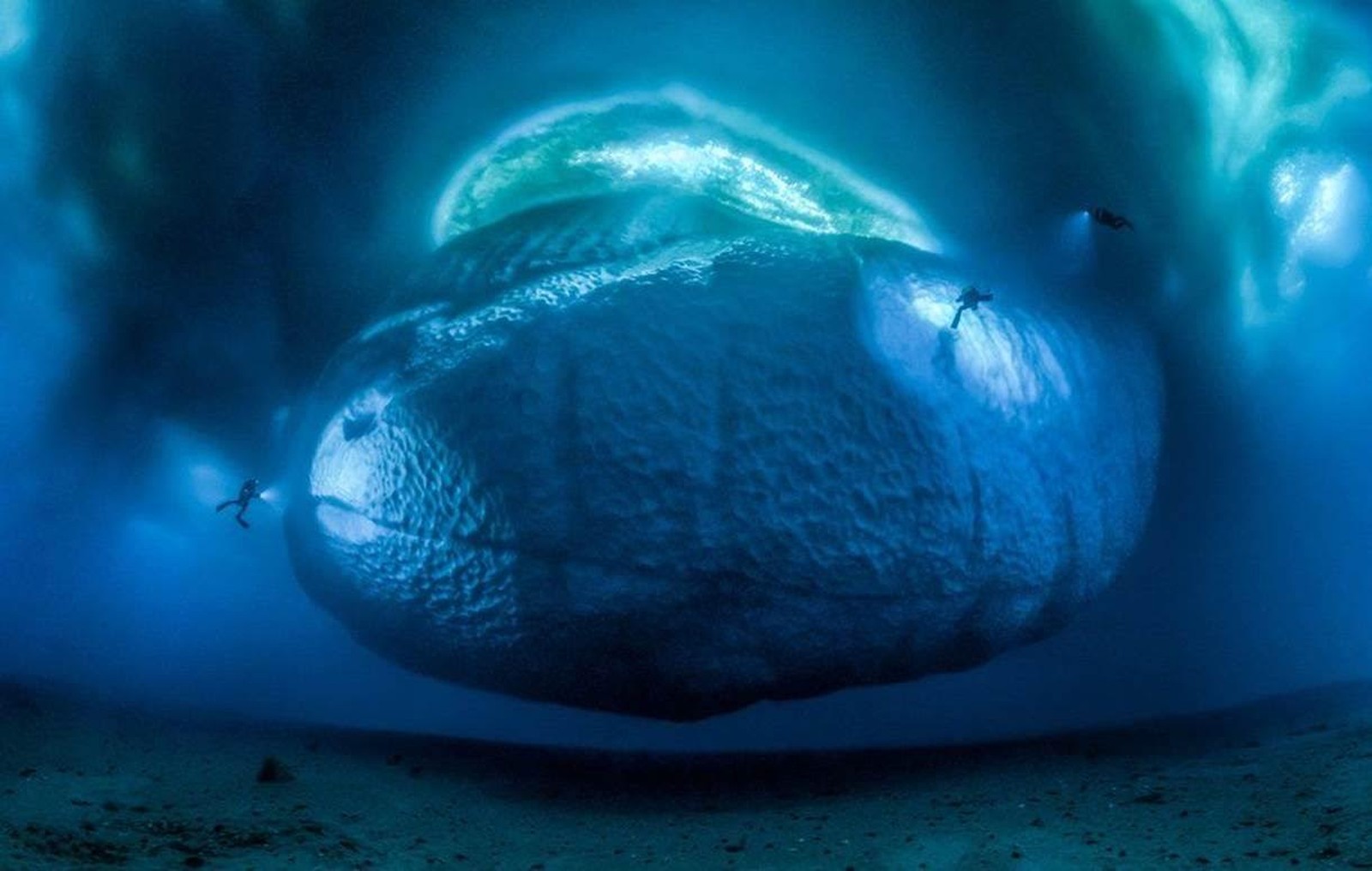 Esta foto pouco comum chama-se O Monstro do Gelo (Foto: Laurent Ballesta/WPY/BBC)