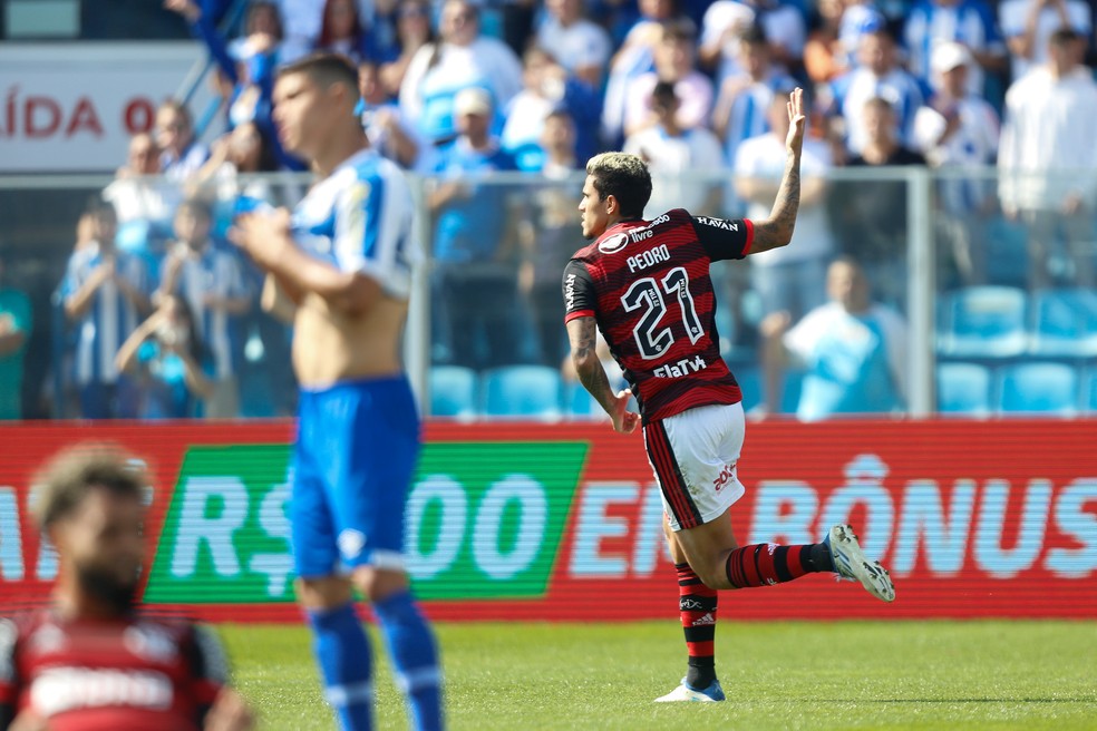 Pedro comemra gol em Avaí x Flamengo — Foto: Gilvan de Souza/Flamengo