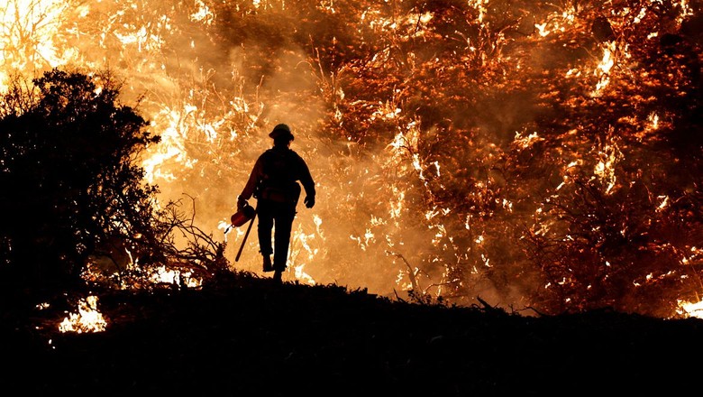 A Autoridade Nacional de Emergência e Proteção Civil (ANEPC) mostra que, na manhã desta segunda-feira (11/07), mais de 1.500 bombeiros combatiam 35 incêndios na região continental de Portugal (Foto: REUTERS/Fred Greaves)