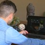 Foto: (Moradores da região de Itapetininga optam por serviço de home-office / Reprodução/TV TEM)