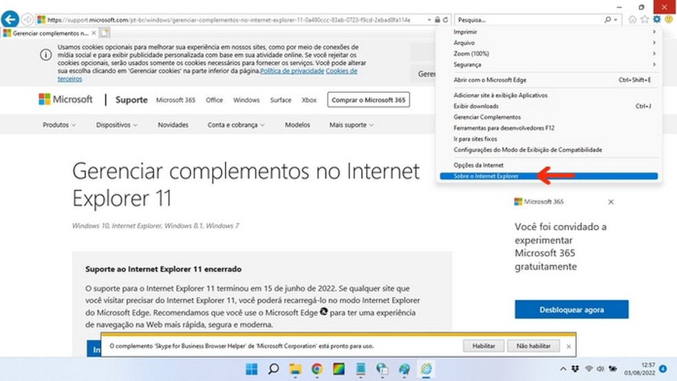 Internet Explorer rodando no Windows 11 — Foto: Reprodução/Raquel Freire