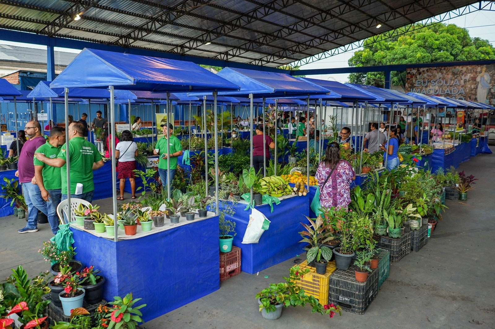 Feira vai expor artesanato, plantas e alimentos na igreja Nª Senhora da Conceição, em Macapá