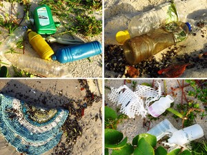 Mergulhadora e amante da natureza encontra lixo doméstico na Praia do Francês (Foto: Flavia Dabbur/Arquivo pessoal)