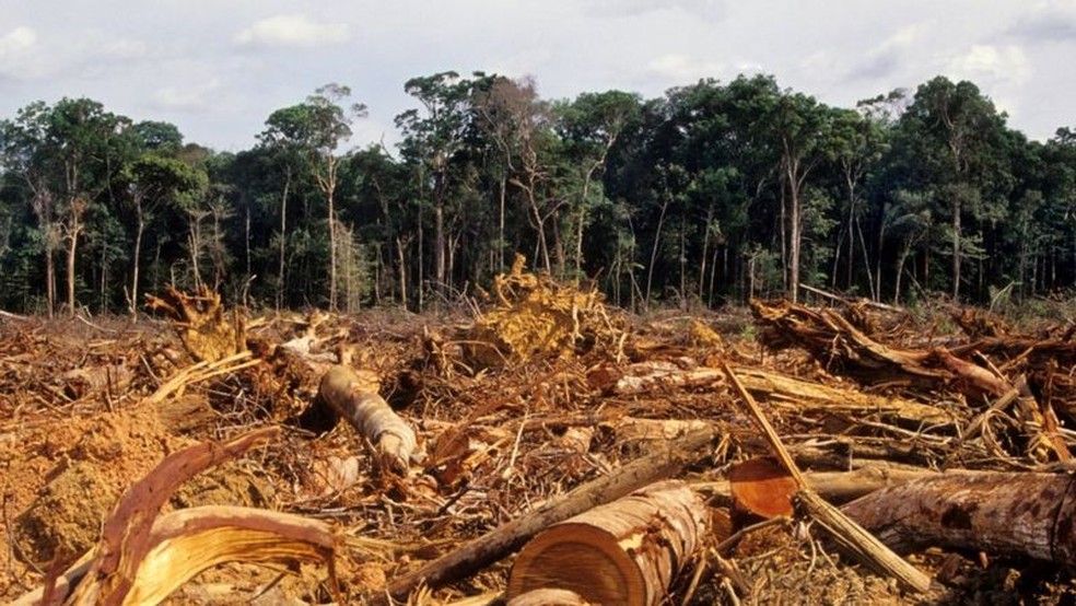 Desmatamento da Amazônia, em foto de 2007; floresta brasileira perdeu 20% de sua área desde 1970 — Foto: Getty Images via BBC