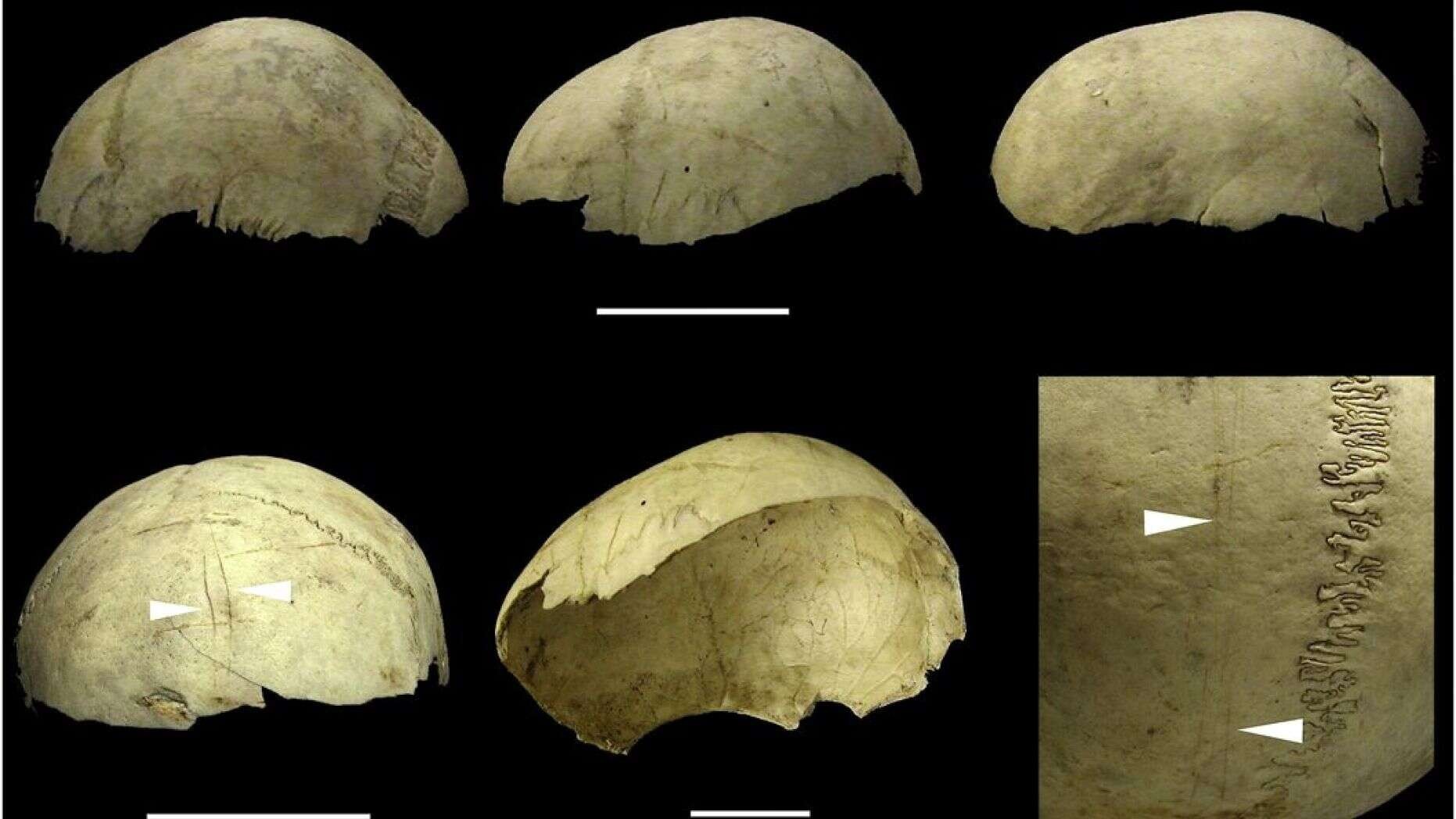 Nossos antepassados usavam crânios humanos como copos há 4 mil anos (Foto: Journal of Archaeological Science)