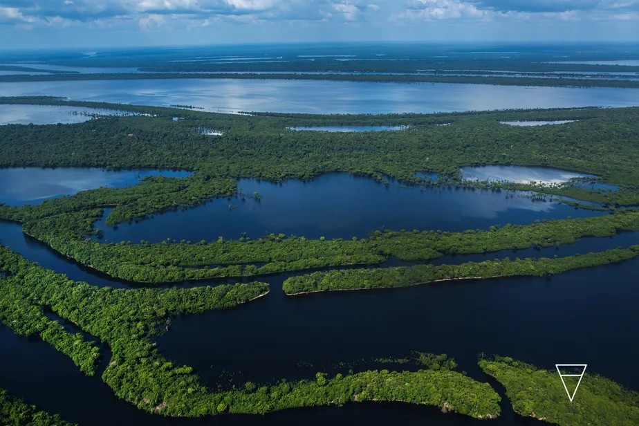 Amazônia perdeu vegetação primária