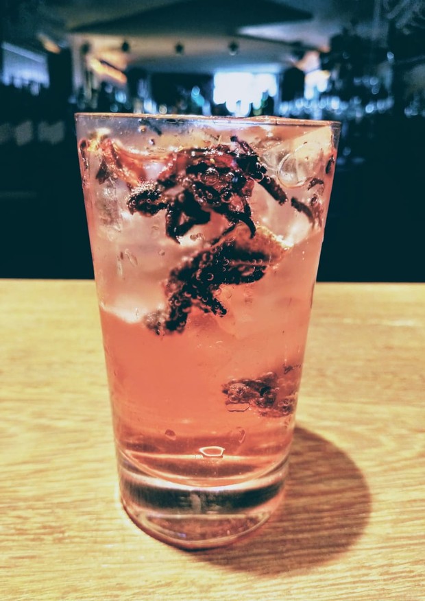 Vou de Rosa: drinque pink de gin tônica refresca a primavera (Foto: Divulgação)