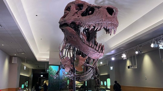 Tiranossauros rex tinham lábios, deixando dentes mais 'escondidos', revela estudo