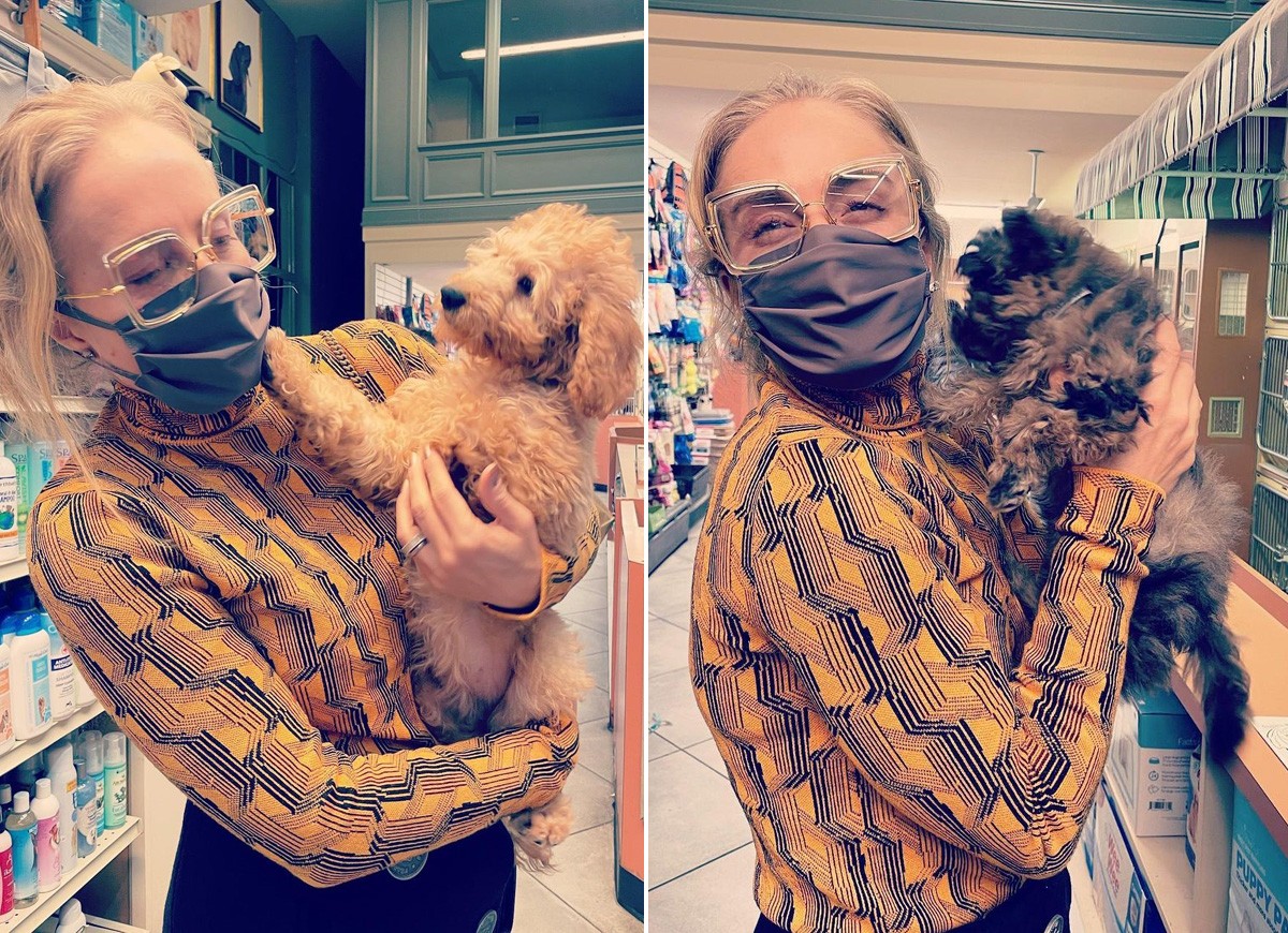 Angélica se encanta por cachorrinhos em pet shop em NY (Foto: Reprodução/Instagram)