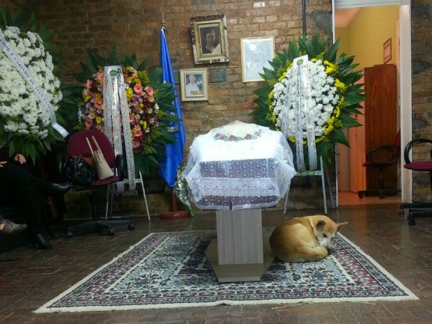 Inspirado na tese do papa Francisco de que os animais terão a vida eterna, um padre belga resolveu oferecer funerais católicos dentro da Igreja para cães