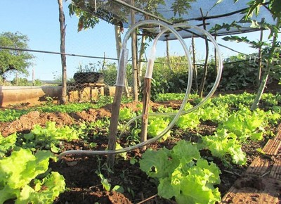 irrigação-agricultura-familiar (Foto: Divulgação/Mudas)