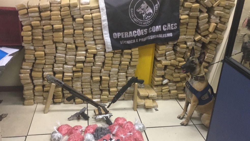 Uma tonelada de drogas é apreendida no Pavão-Pavãozinho (Foto: Divulgação)