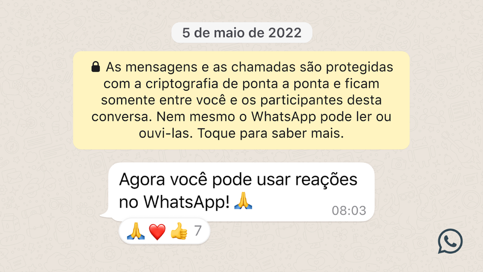 Reações no WhatsApp: internautas debatem se acabou a desculpa para o vácuo  | Tecnologia | G1