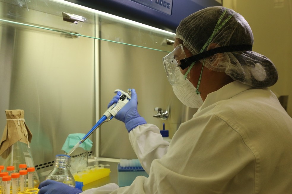 Profissional realiza teste do coronavírus — Foto: Divulgação/Ministério da Agricultura