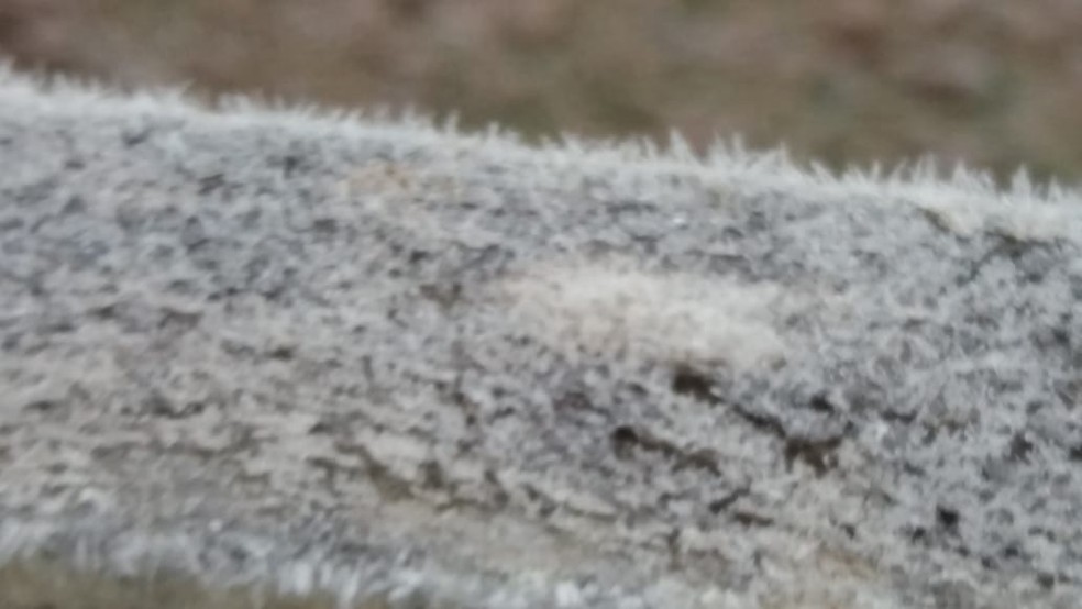 videos e fotos da geada sao joao del rei registra 1 4ºc veja temperaturas minimas de cidades da zona da mata e vertentes zona da mata g1