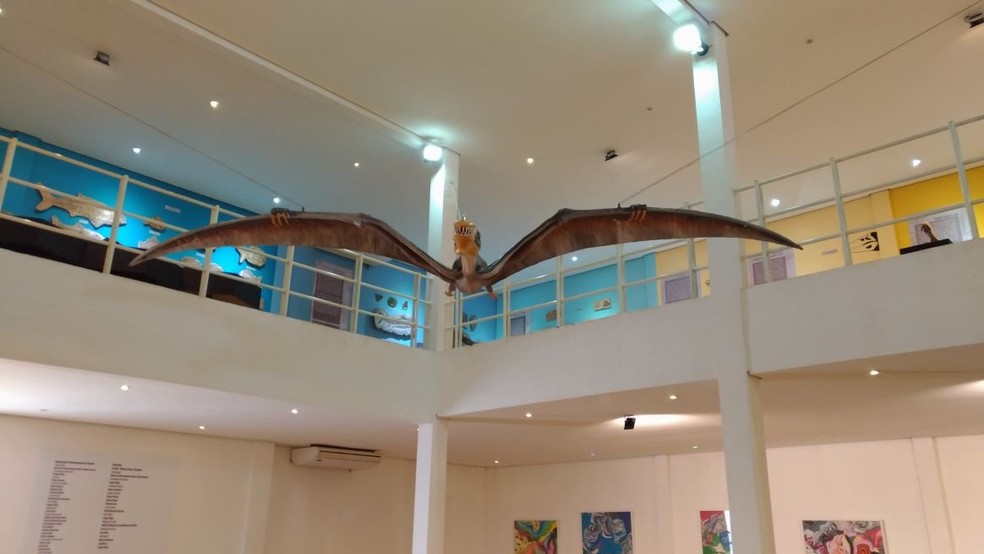 Área interna do museu tem reconstituição de espécie de pterossauro; envergadura podia passar de 8 metros. (Foto: Paulo Henrique Rodrigues/TV Verdes Mares )