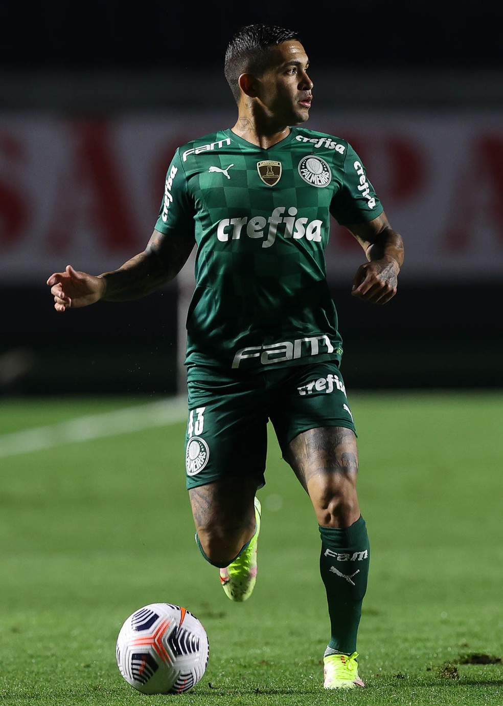 Dudu em ação no jogo contra o São Paulo pelo Palmeiras — Foto: Cesar GrecoPalmeiras