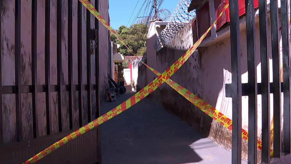 Queda de árvore interdita três casas em Ribeirão Preto, SP — Foto: Reprodução/EPTV