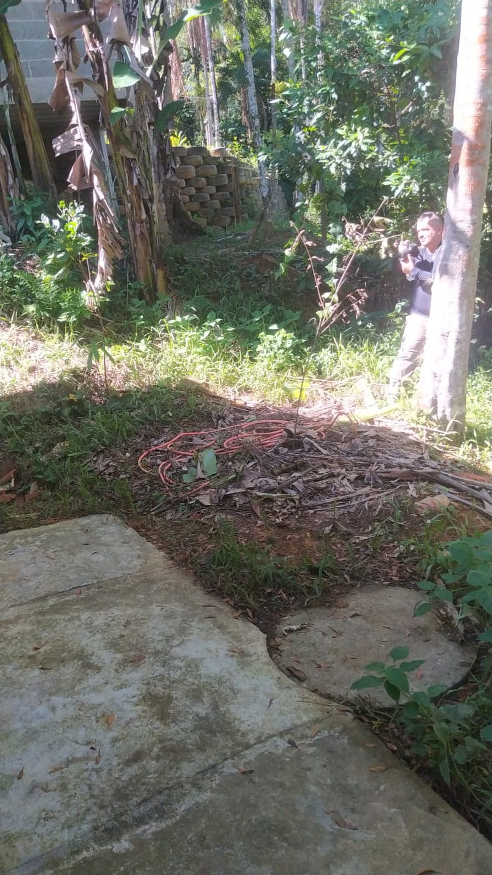 Local onde corpo foi encontrado enterrado em Ubatuba. — Foto: Divulgação/Polícia Civil