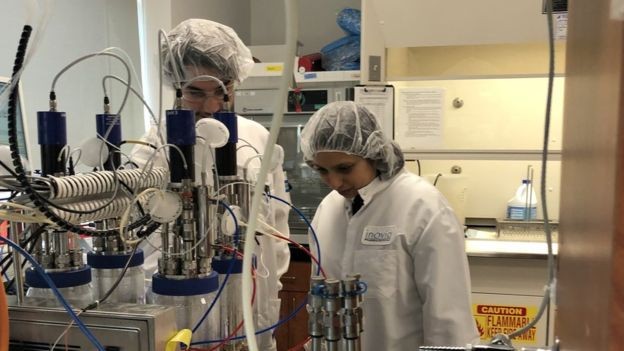 BBC - Cientistas no laboratório da Inovio em San Diego, na Califórnia (EUA) (Foto: BBC)