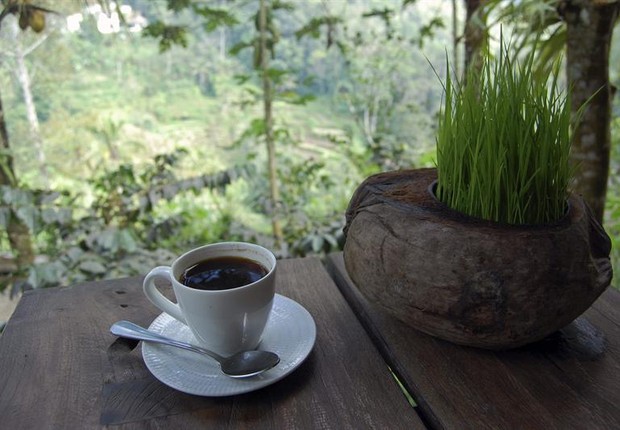 Café (Foto: EFE)