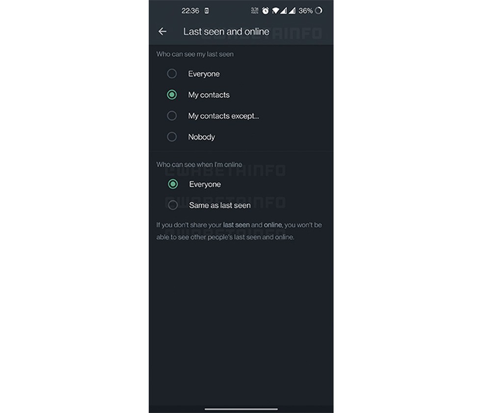 Print revelado da função teste para tirar o status online do WhatsApp — Foto: Reprodução/ WABetaInfo
