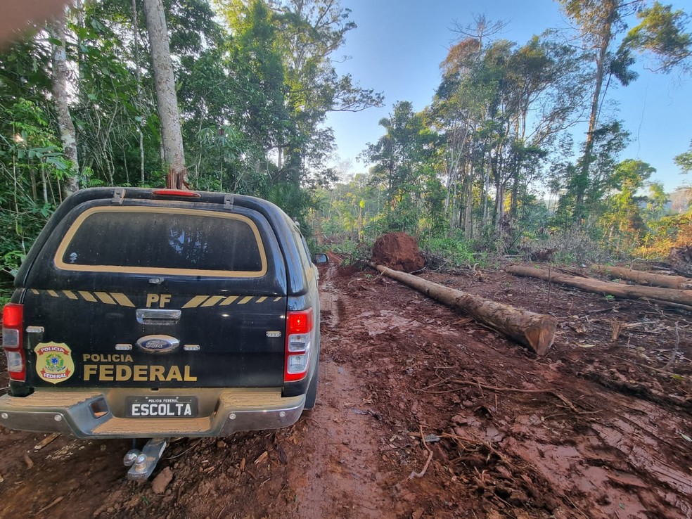 Operação S.O.S URU contra crimes ambientais na Terra Indígena Uru-Eu-Wau-Wau em Rondônia — Foto: PF/Reprodução