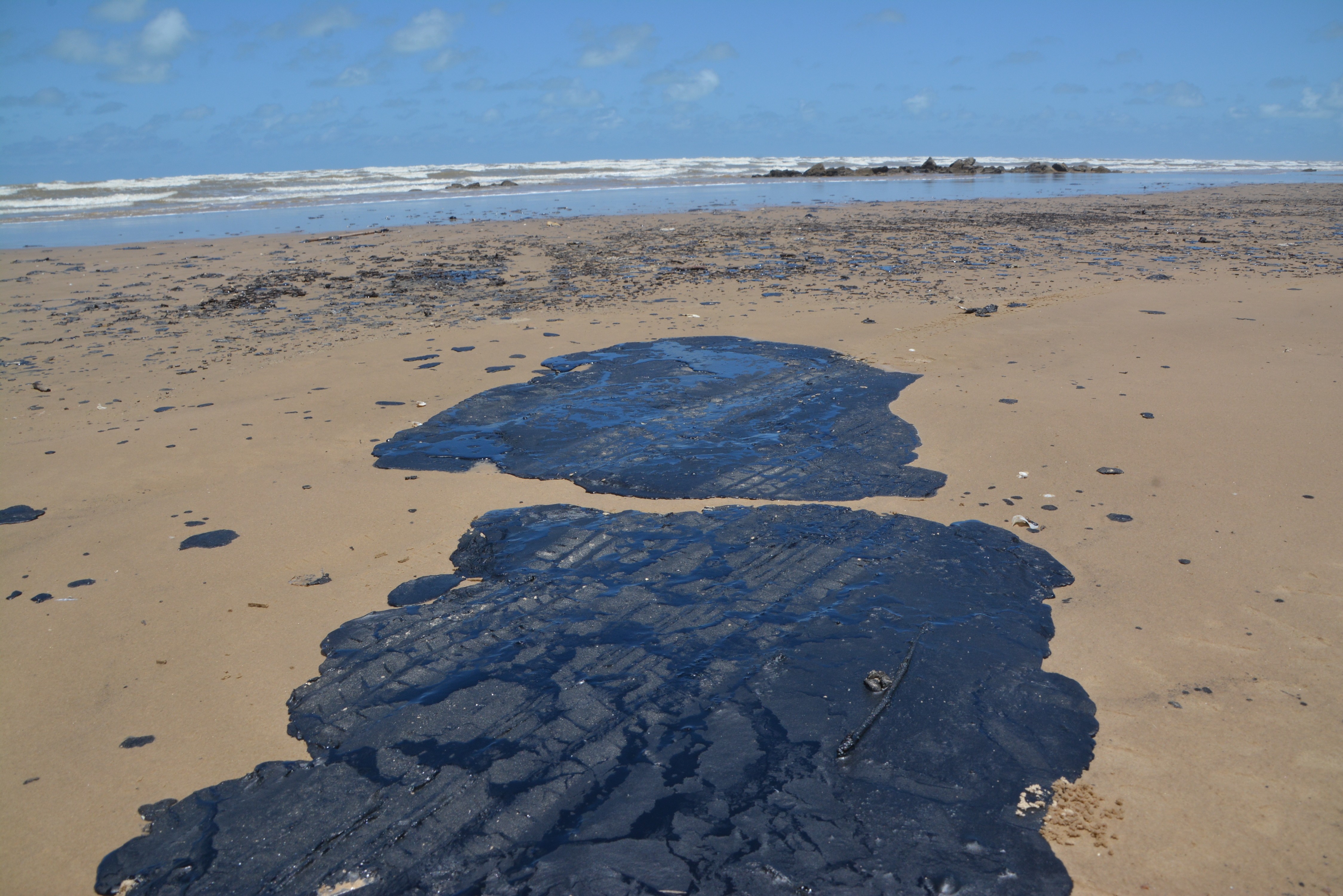 Petróleo polui praias do Nordeste desde o início de setembro (Foto: MÁRCIO GARCEZ/Agência O Globo)