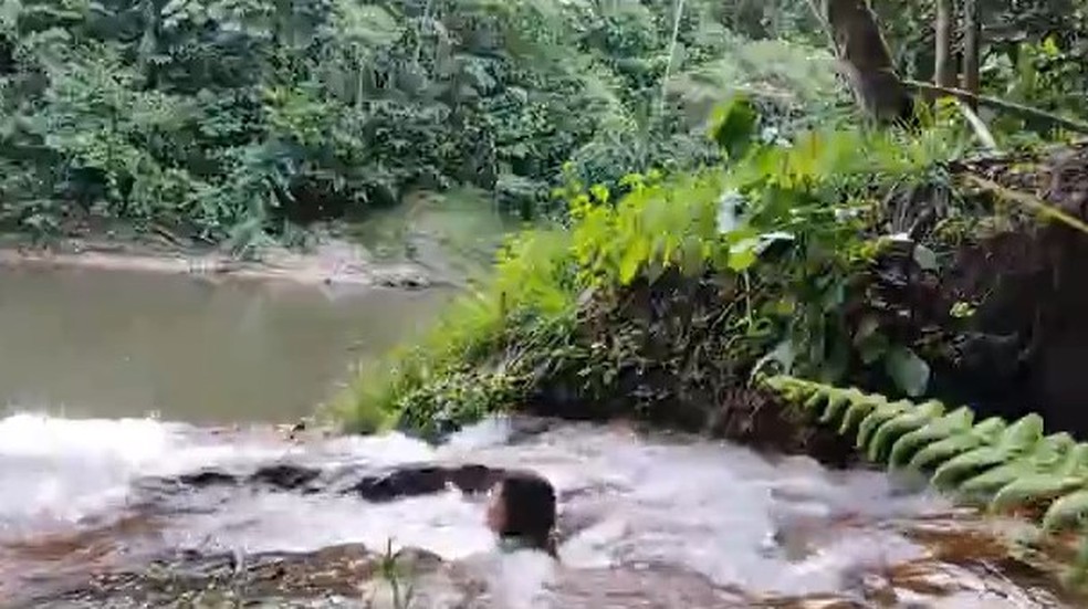 Local tem várias cachoeiras que podem ser visitadas — Foto: Reprodução/Rede Amazônica Acre