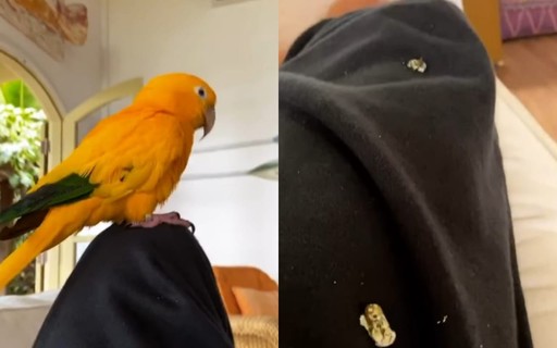 Sasha Meneghel mostra cocô de pássaro em sua perna ...