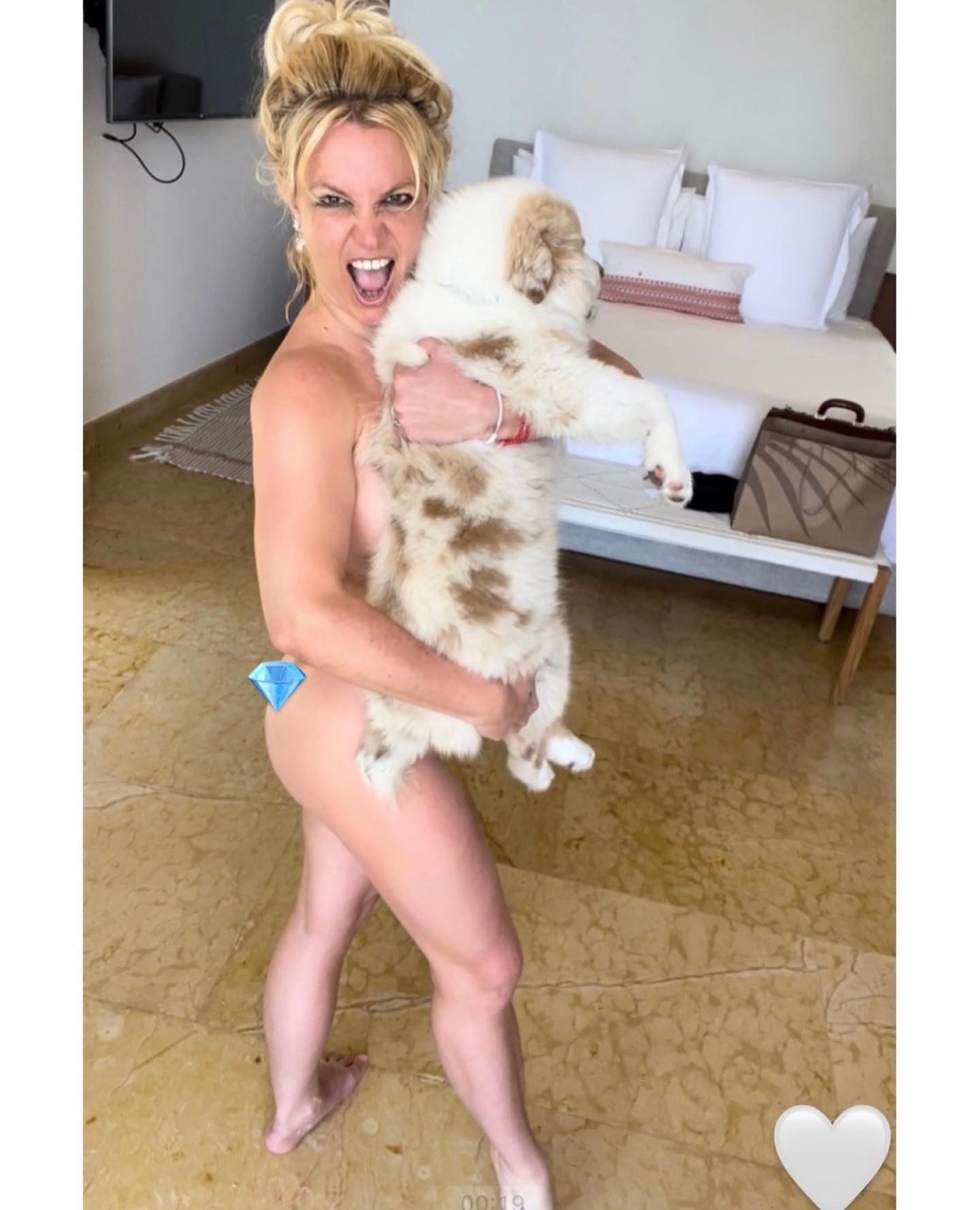 Britney Spears posa para fotos picantes com cachorro (Foto: Reprodução/Instagram)
