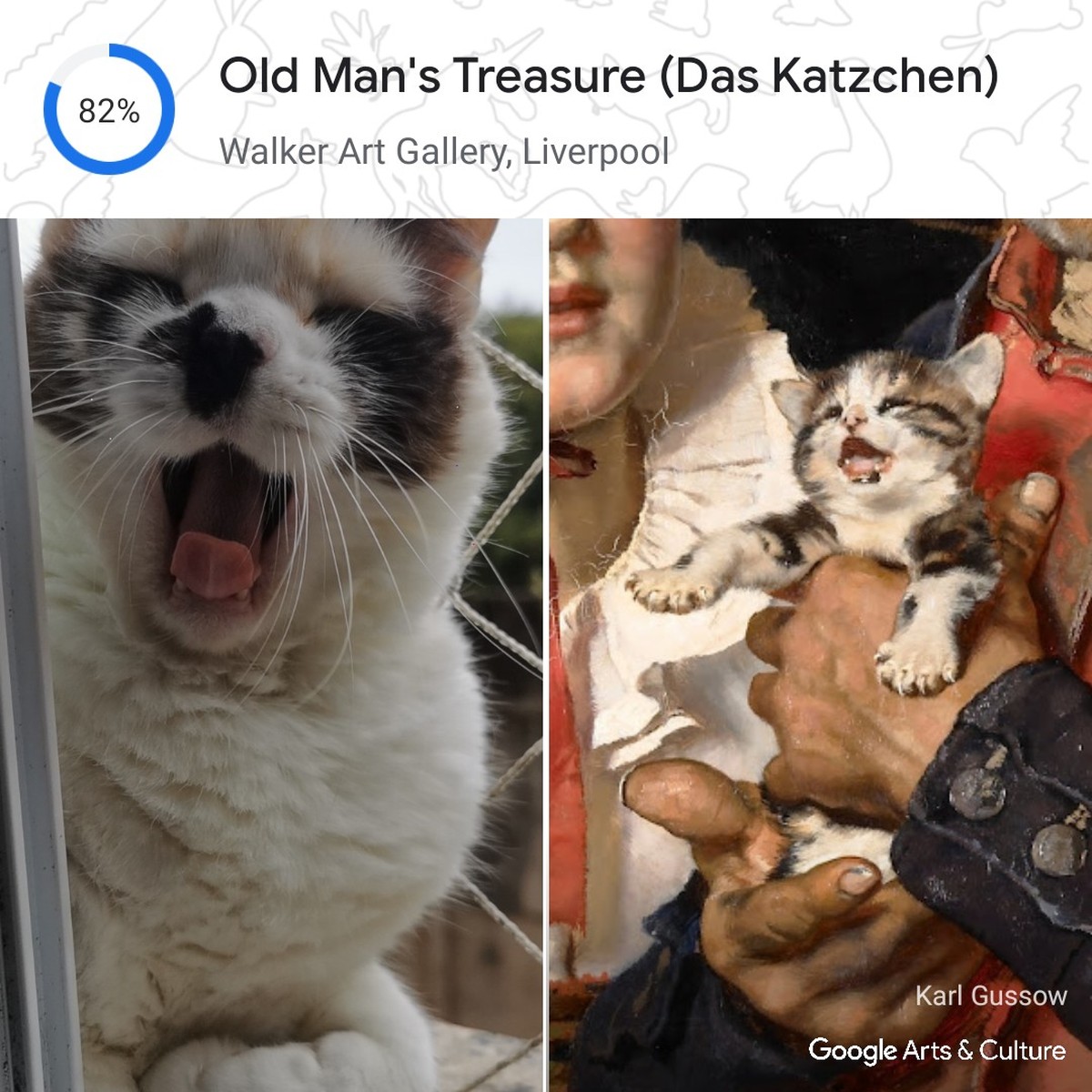 App do Google encontra seu pet em obras de arte famosas; saiba usar | Produtividade – [Blog GigaOutlet]