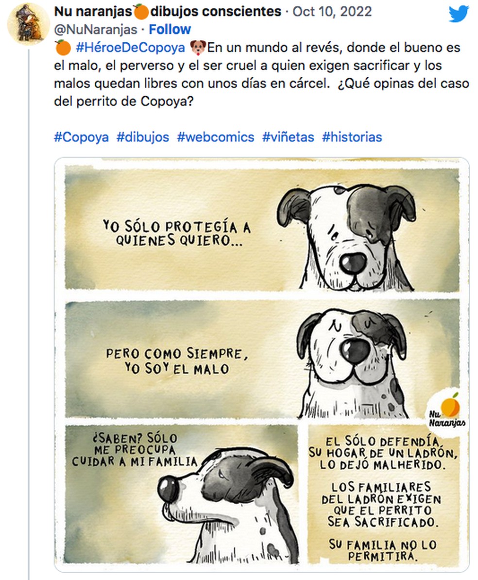 #HéroeDeCopoya  Foto: Reprodução/Twitter