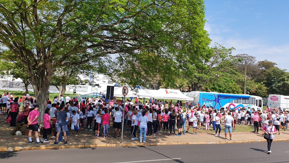 Caminhada Rosa reúne mais de 500 pessoas no Parque do Povo, em Presidente Prudente (SP) — Foto: Leonardo Bosisio/g1