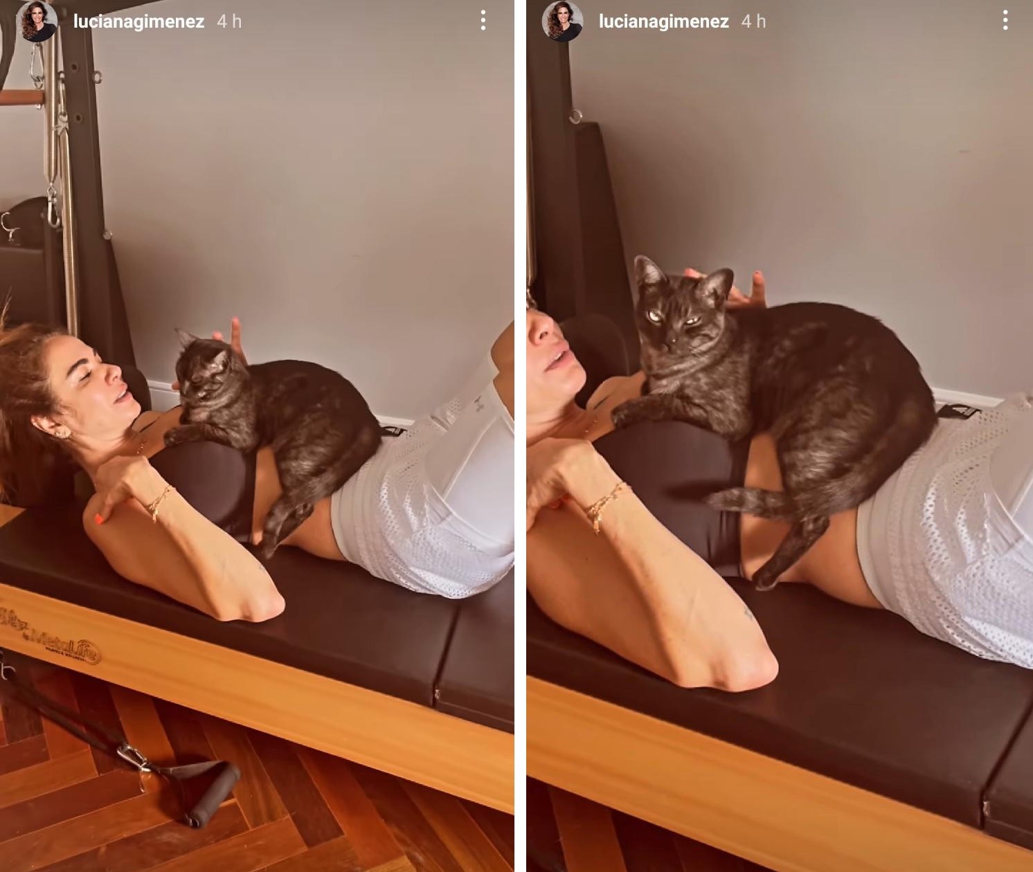 Luciana Gimenez resgata gatinha (Foto: Reprodução: Instagram)