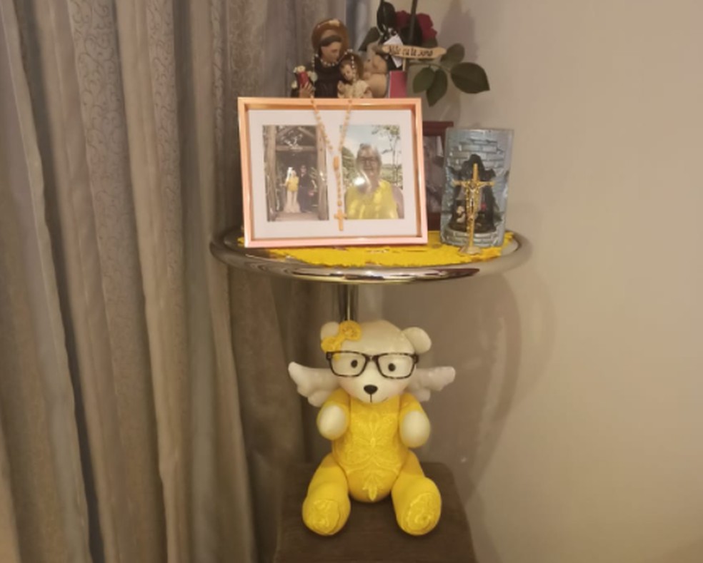 'Ursinho da memória' em homenagem à Ana Lucia de Noronha  — Foto: Arquivo pessoal 