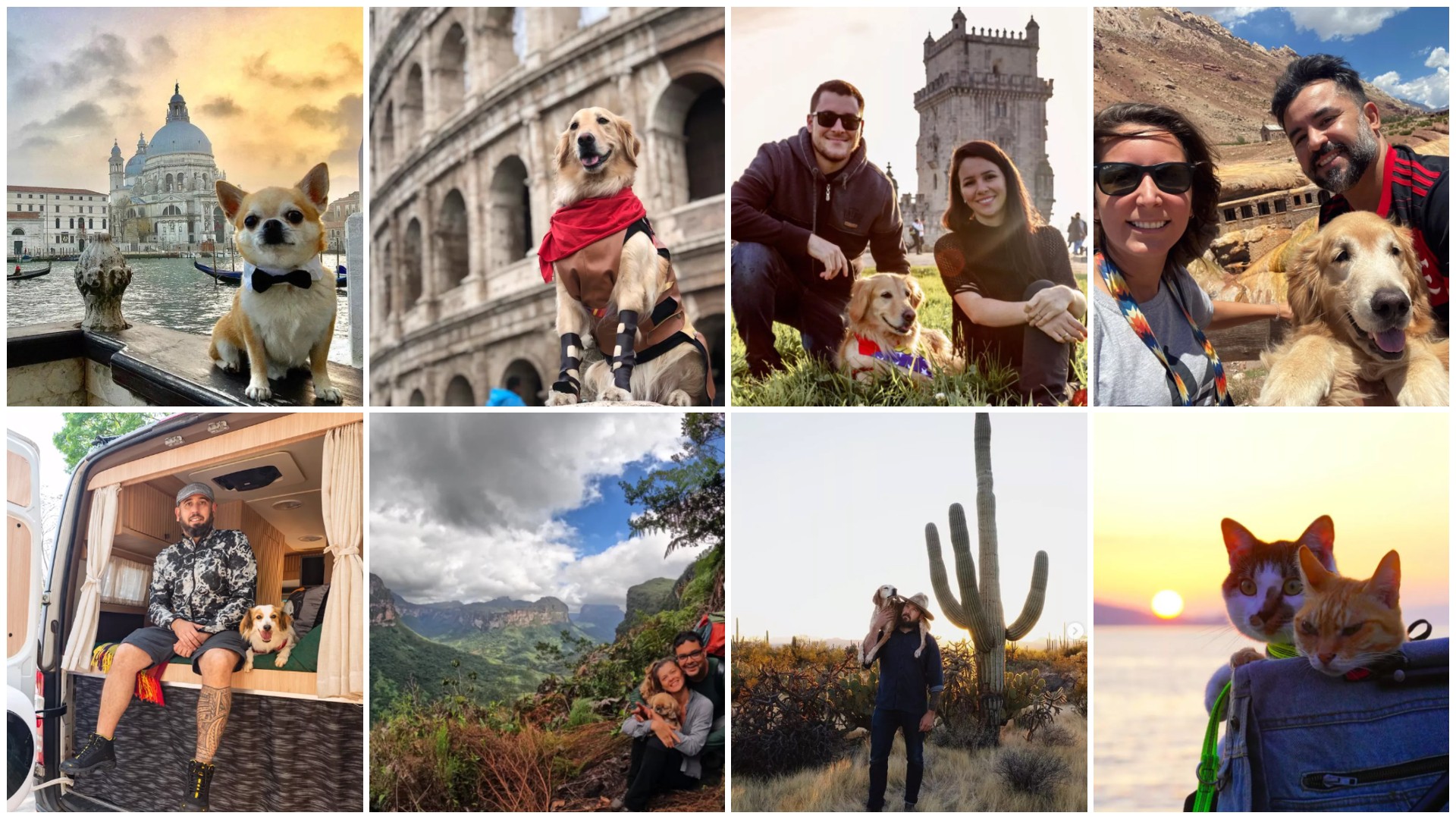 Conheça viajantes que rodam o mundo com animais de estimação e fazem sucesso na web; FOTOS