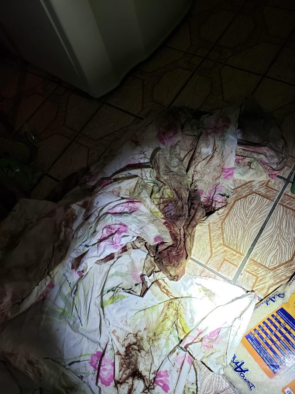Lençol com sangue encontrado na casa do vizinho de Carla — Foto: Polícia/Divulgação