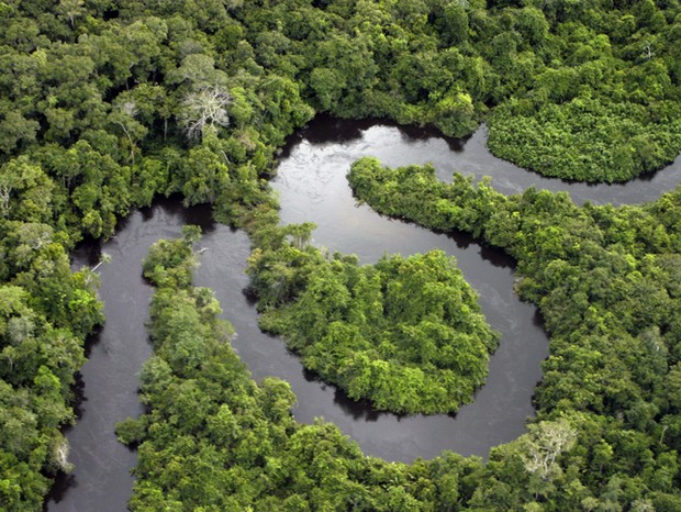 7 organizações que ajudam a proteger a Amazônia (Foto: Getty Images)