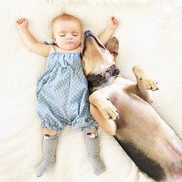 A bebê Evangeline e Theo, já crescido (Foto: Reprodução/Instagram)
