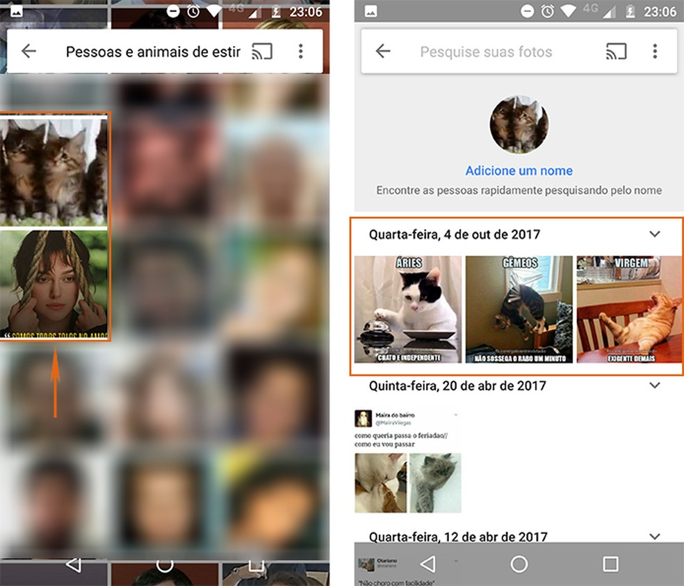 Como Dominar A Pesquisa De Fotos No Google Fotos Imagens Techtudo
